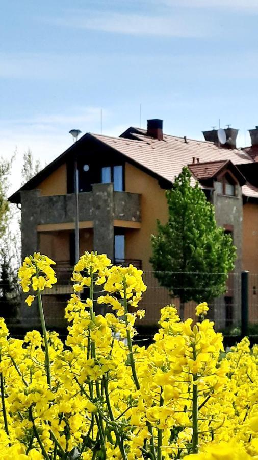 Kamilla Apartman Villapark Buk Exterior photo